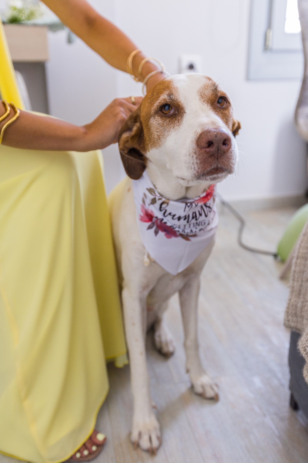 11-Wedding-dog (49)