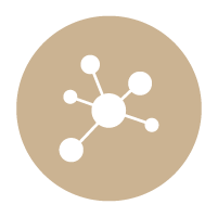 zolotas network